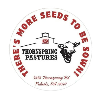 Social Media and Design